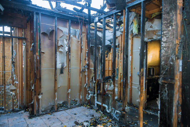 Professional Fire Damage Removal technician working in Glenolden, PA